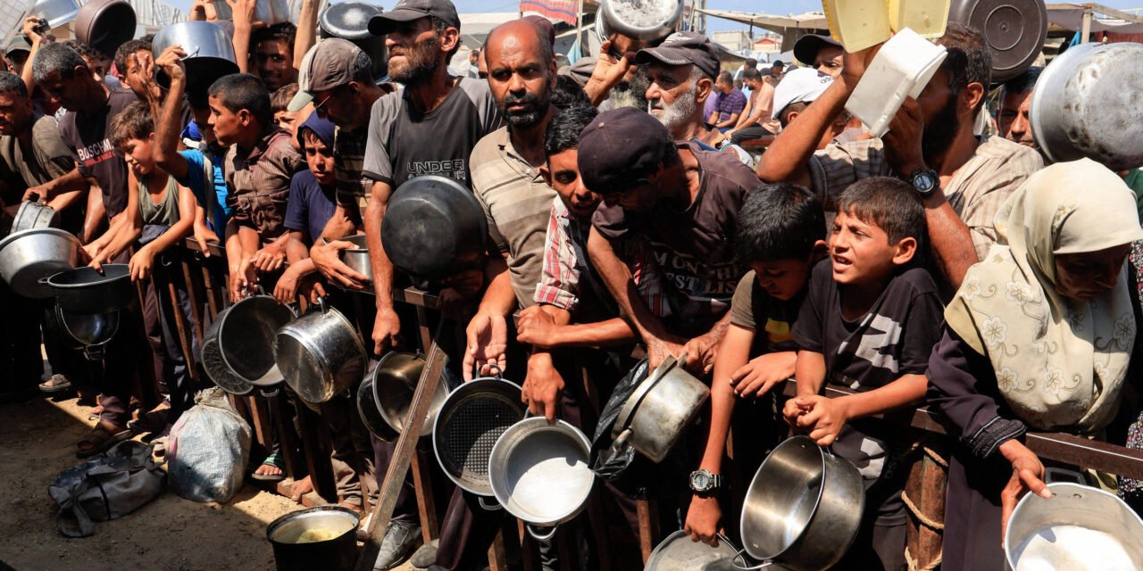 Nações Unidas/  Fome  declarada oficialmente  em Gaza