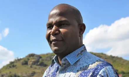 Moçambique/Líder da Frelimo diz que estabilizou Moçambique ao fim de seis meses