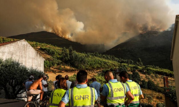 Portugal/Centenas de milhares de hectares de mato arderam no sul da Europa