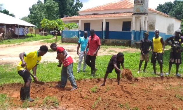 Regiões/ Associação dos Filhos e Amigos de secção de Olossato reabilita estrada que liga aquela localidade ao sector de Bissorã