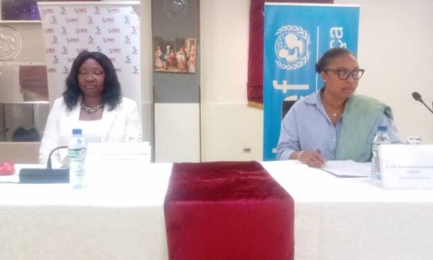 Governo e parceiros reúnem-se em ateliê sobre implementação de compromissos para o fim da violência contra  menores