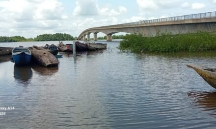 Regiões/Duas mortes em naufrágio de piroga na margem da ponte de  São Vicente