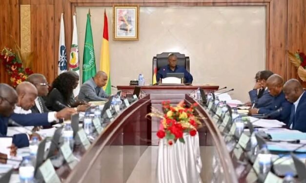 Governo prepara arranque da campanha Nacional de Repovoamento Florestal