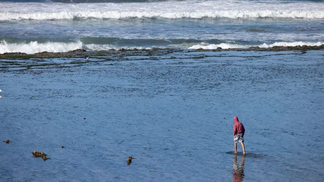 Espanha/Embarcação com 177 pessoas resgatada ao largo de Marrocos