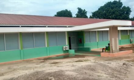 Regiões/Coordenadora da Saúde Materna Infantil satisfeita com  reabilitação da Maternidade do Hospital de Canchungo