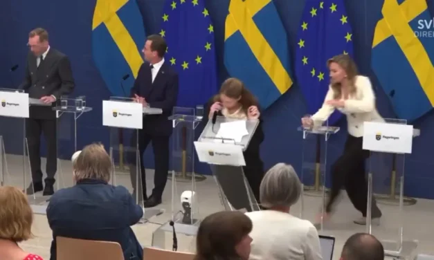 Suécia/Ministra da Saúde desmaia numa conferência no primeiro dia no cargo