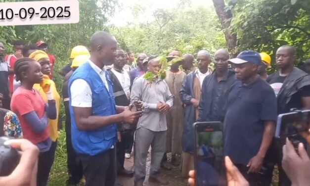 Regiões Ambiente/UN-Habitat entrega três mil plantas de espécies de elevado valor ao IBAP