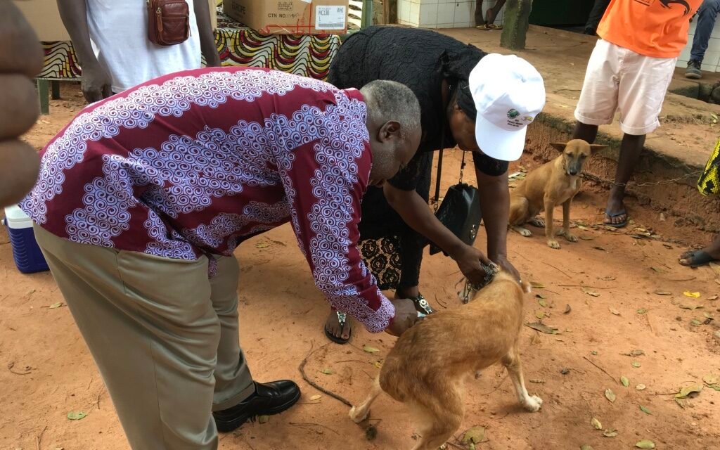 Dia Mundial da Raiva/Diretor Clínico da Veterinária apela donos dos animais a vacina-los contra a raiva