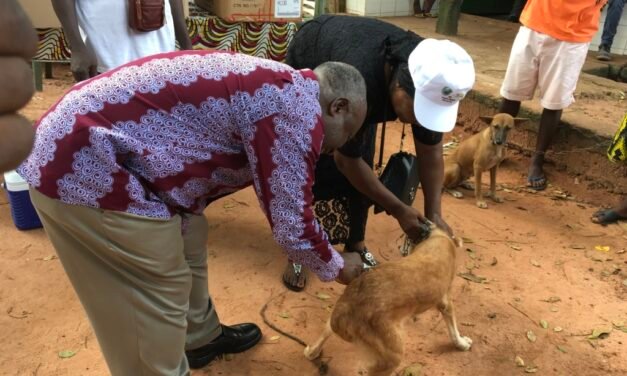 Dia Mundial da Raiva/Diretor Clínico da Veterinária apela donos dos animais a vacina-los contra a raiva