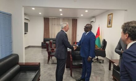 ”Eleições gerais é momento determinante para   afirmação da estabilidade institucional no país”, diz Braima Camará