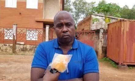 Jurista e analista político Luís Vaz Martins “raptado e selvaticamente agredido”