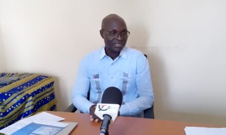 Advogado da CETIS nega que a empresa tenha qualquer responsabilidade na produção de Cartas de Condução falsas apreendidas