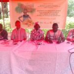 Agricultura/Governo quer maior intervenção de atores para dinamizar o setor