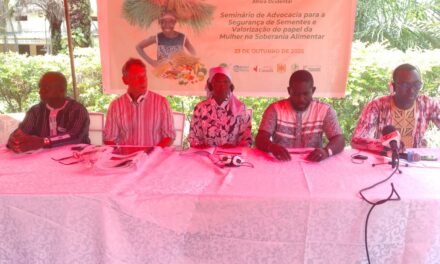 Agricultura/Governo quer maior intervenção de atores para dinamizar o setor