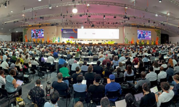 Brasil/COP30 termina sem avanços nos combustíveis fósseis: “Acordo possível”