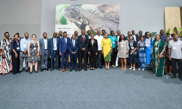 COP30/África exige novo pacto climático baseado em financiamento justo e liderado pelo continente