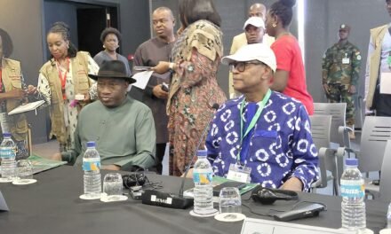 Eleições Gerais/Chefe da missão da CEDEAO declara  que o processo decorreu bem