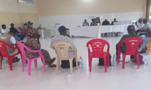 Regiões/ ONG promove ateliê sobre conservação de mangal