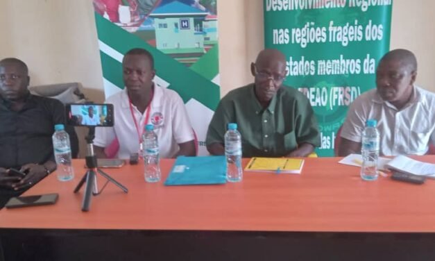   Regiões/Caritas Guiné-Bissau forma jovens  em Buba