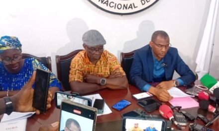 Eleições Gerais/CNE declara indisponibilidade para anunciar resultados eleitorais provisórios por falta de atas de apuramento regional