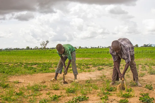 Nigéria/Treze Agricultores sequestrados no nordeste