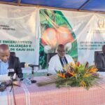 “Guiné-Bissau já exportou 210 mil toneladas de castanha das 252 mil escoadas para Bissau”, revelou o Director Geral do Comércio externo