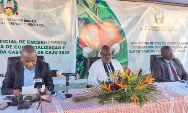 “Guiné-Bissau já exportou 210 mil toneladas de castanha das 252 mil escoadas para Bissau”, revelou o Director Geral do Comércio externo