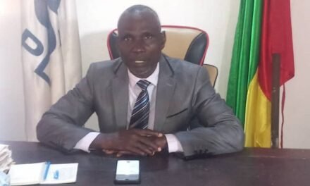 Regiões/ Administração de Canchungo tem em carteira a reabilitação da Rotunda e transferência do local da Feira Popular