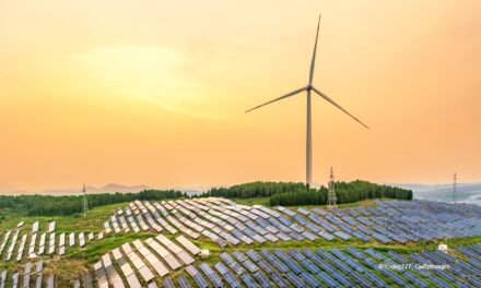 Togo/ CEDEAO apela ao reforço da cooperação em matéria de energias renováveis