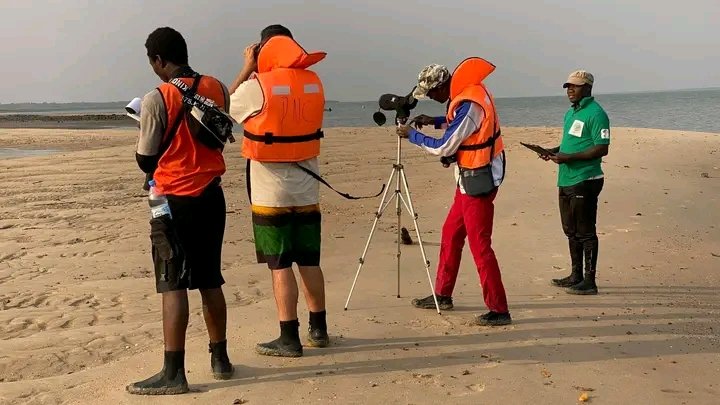 Guiné-Bissau arranca com a contagem mundial 2026 das aves aquáticas migradoras