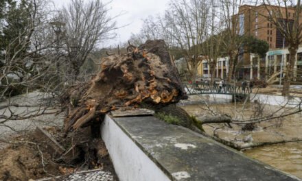Portugal/ Quase meio milhão de pessoas sem energia devido a tempestade
