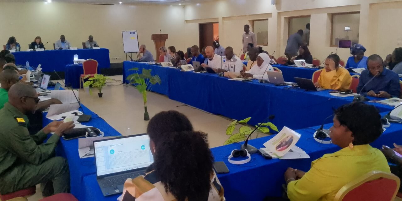 Bissau acolhe 2ª Reunião do Comité Internacional de Pilotagem do Projecto CARES-2