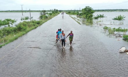 Moçambique/ Autoridades propõem alternativas perante as cheias