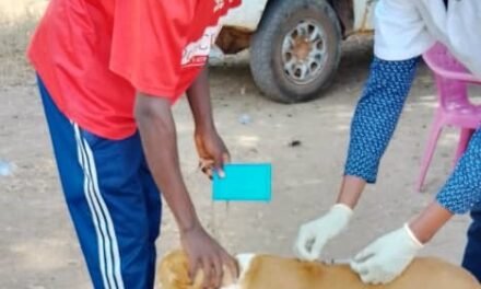 Regiões/ Cidade de Gabu acolhe de 6 à 10 de janeiro Campanha de Vacinação contra Raiva