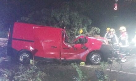 Mau Tempo Portugal/ Um morto em queda de árvore em cima de carro em Vila Franca de Xira