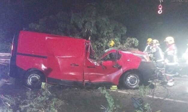 Mau Tempo Portugal/ Um morto em queda de árvore em cima de carro em Vila Franca de Xira