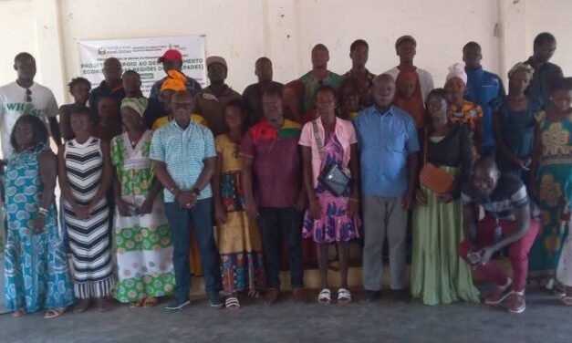 Regiões/Projeto PADES capacita camponeses e horticultores da zona sul no domínio da agro-alimentação