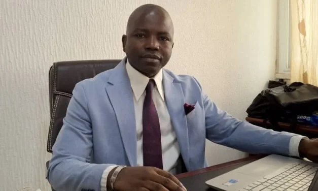 ”Relações económicas entre Guiné-Bissau e China mantêm-se ativas”, diz Diretor-geral  do Comércio Externo