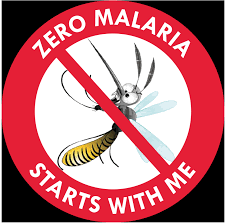 Combate à malária/ UA alerta que metas para 2030 estão ameaçadas sem reforço financeiro