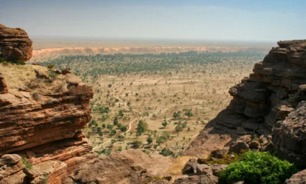 Mali/Quinze motoristas mortos em ataque a comboio de combustível