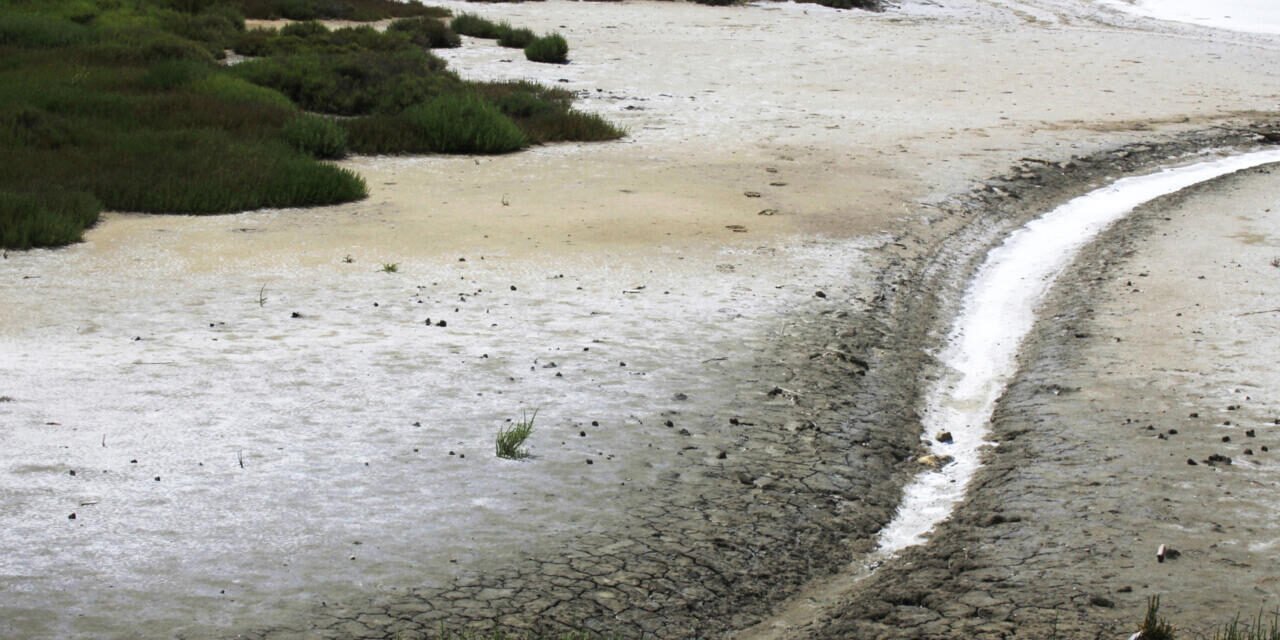 FAO/Salinização dos solos obriga regiões costeiras a reinventarem a agricultura