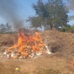 Regiões/Delegacia de Comércio de Cacheu incinera mais de cinco toneladas e meia de produtos fora do prazo de consumo