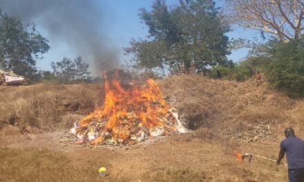 Regiões/Delegacia de Comércio de Cacheu incinera mais de cinco toneladas e meia de produtos fora do prazo de consumo