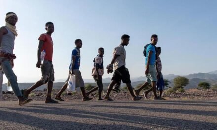 Suíça/Corredores migratórias africanos: OIM lança apelo de 91 milhões de dólares