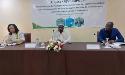 ONG Enda Santé reúne parceiros para definição de estratégias de mobilização de financiamentos internos para o sector