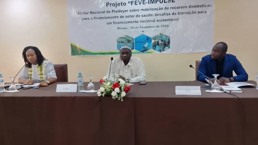 ONG Enda Santé reúne parceiros para definição de estratégias de mobilização de financiamentos internos para o sector