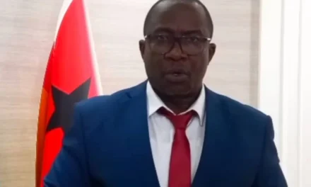 Conselho de Ministros aprova projeto de Decreto sobre os Estatutos da Agência de Emprego e Formação Profissional