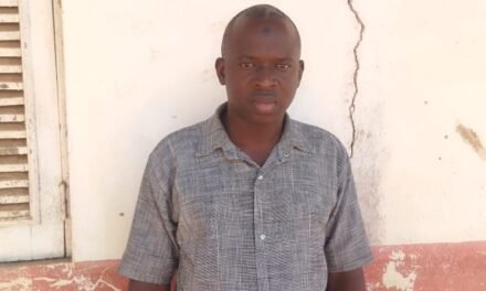 Regiões/ Movimento Cívico de Bissorã se congratula com preço de referência da castanha de caju estipulado pelo Governo