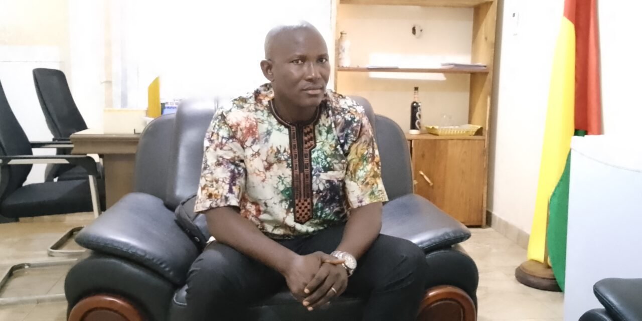 Direcção Geral de Florestas e Fauna prevê plantação de 50 mil árvores no presente ano 2026