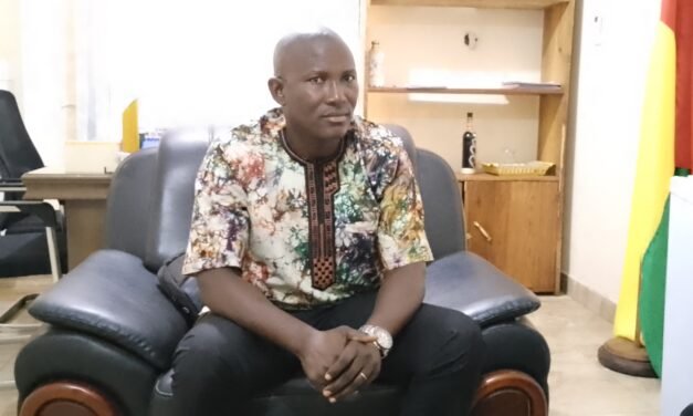 Direcção Geral de Florestas e Fauna prevê plantação de 50 mil árvores no presente ano 2026